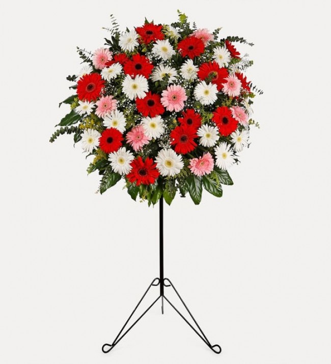 Canlı Gerbera Ferforje