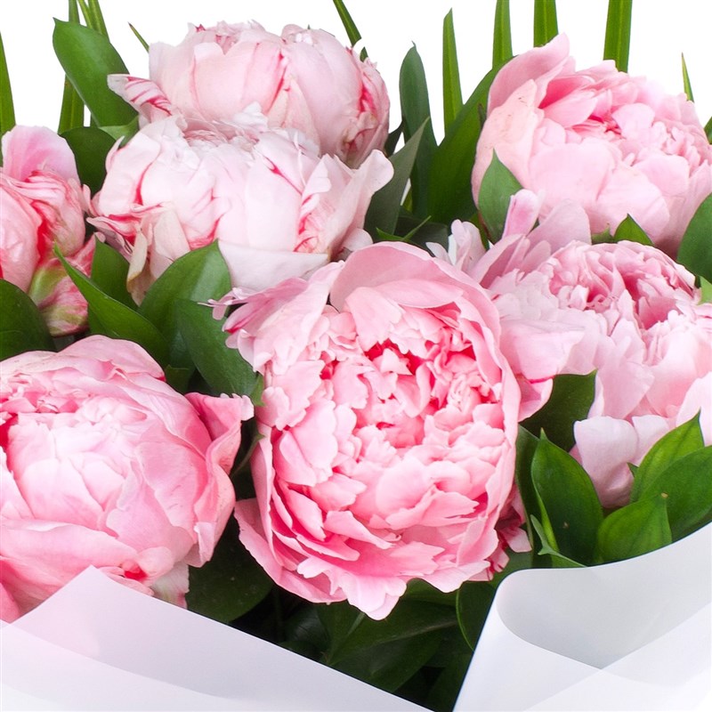 7 Adet Pembe Şakayık Buketi - 2