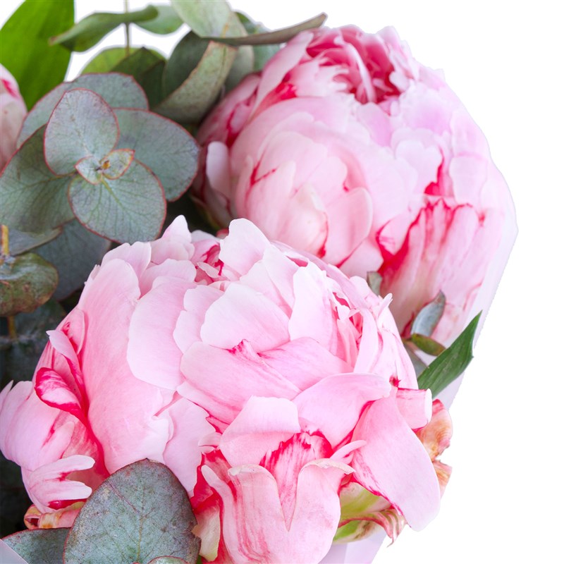 5 Pembe Şakayık Buketi - 2