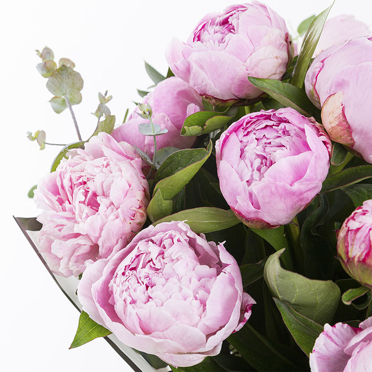 15 Pembe Şakayık Buketi - 3